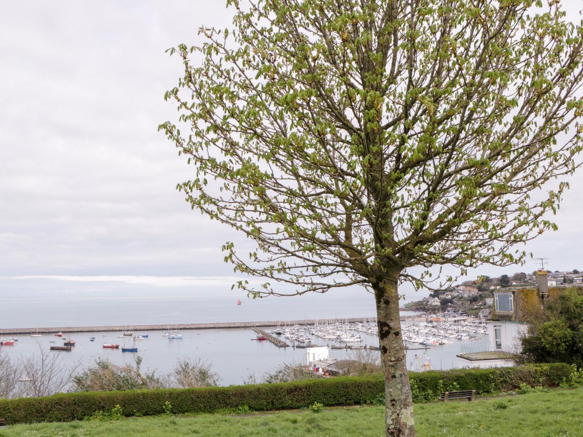 Pebble Bay Villa Brixham Bagian luar foto